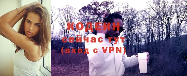 крисы Арсеньев