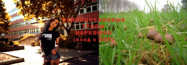 МДПВ Армянск