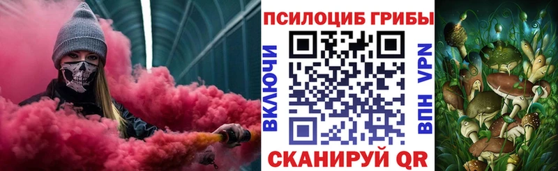 цена наркотик мега как войти Галлюциногенные грибы мицелий Дмитриев